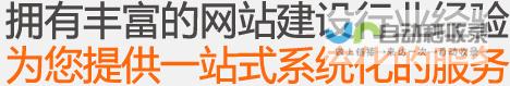 长沙网站推广策略：定制专属方案，助力企业快速发展