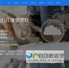 E立方定制-管理软件定制开发-低代码快速开发-专做管理软件